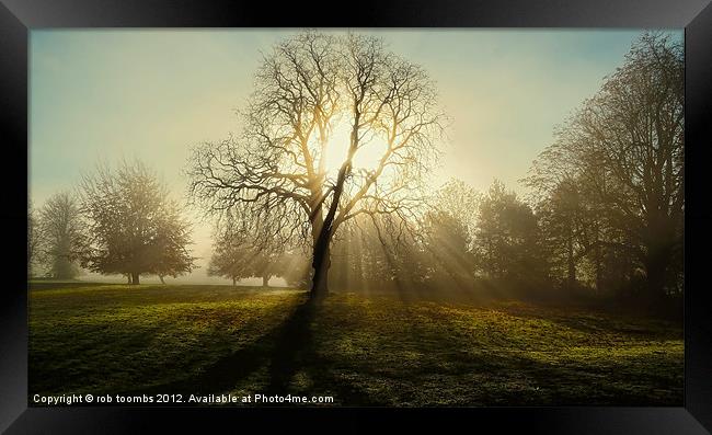 THE MIST Framed Print by Rob Toombs