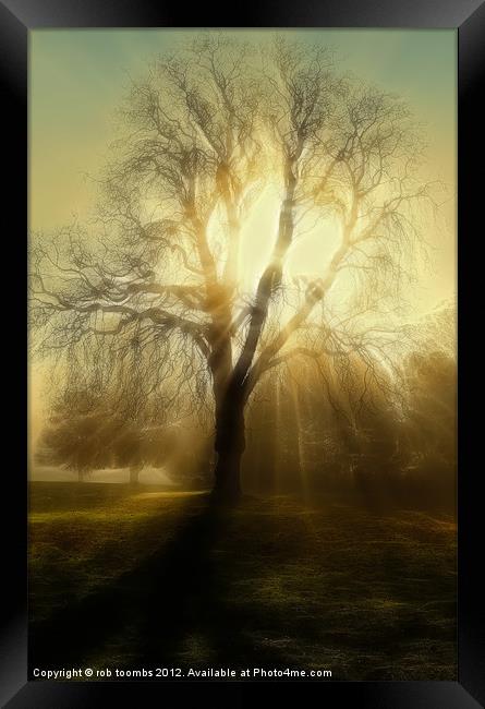 FIRE TREE Framed Print by Rob Toombs