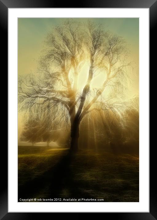 FIRE TREE Framed Mounted Print by Rob Toombs