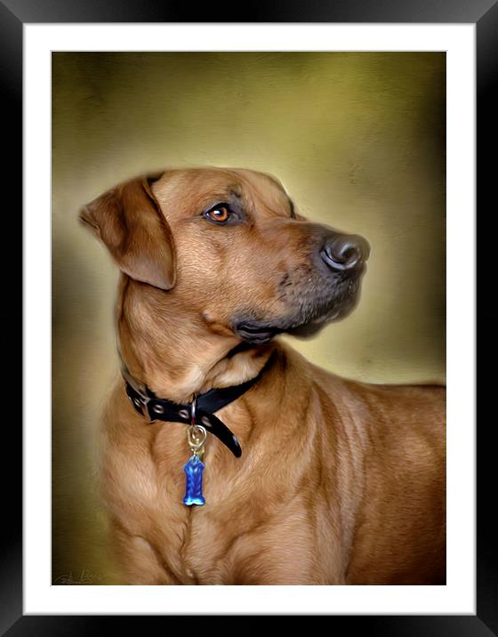 A MANS BEST FRIEND Framed Mounted Print by Rob Toombs