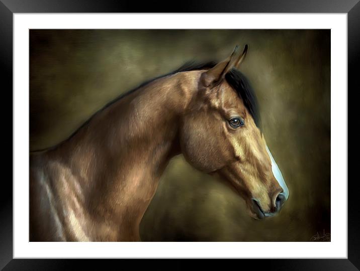 THE STALLION Framed Mounted Print by Rob Toombs