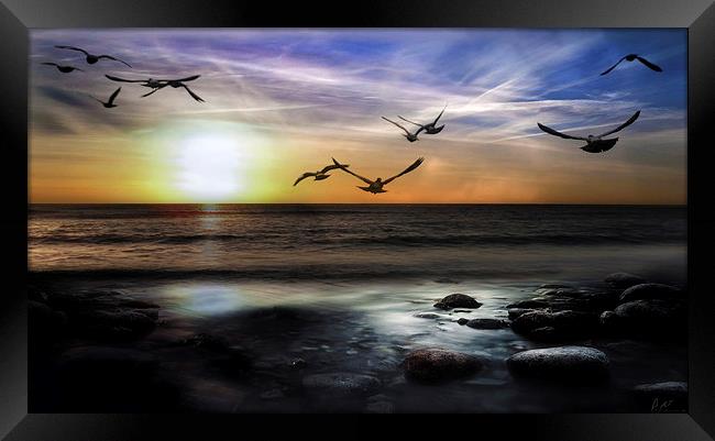 A MORNING FLIGHT Framed Print by Rob Toombs