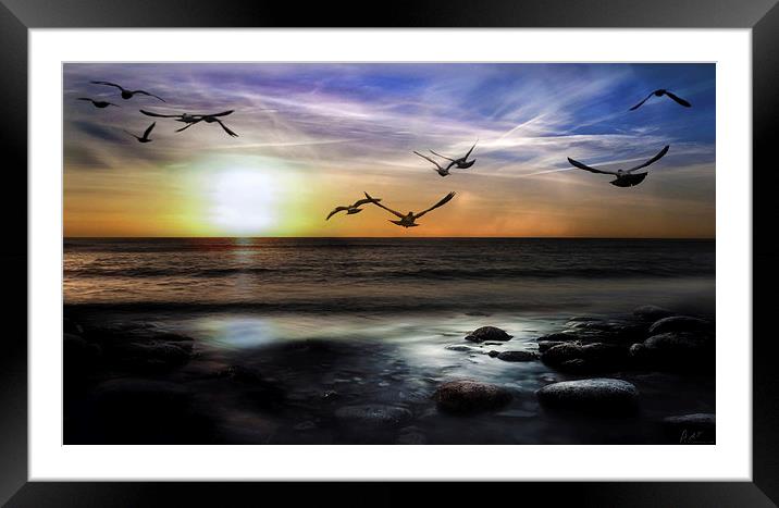 A MORNING FLIGHT Framed Mounted Print by Rob Toombs