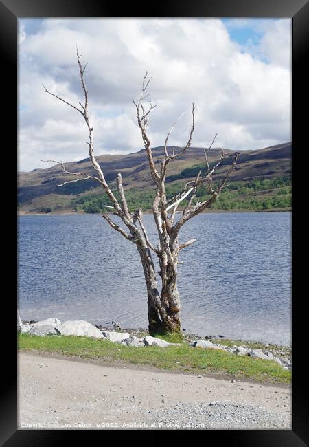 Shore of Loch Achall Framed Print by Lee Osborne