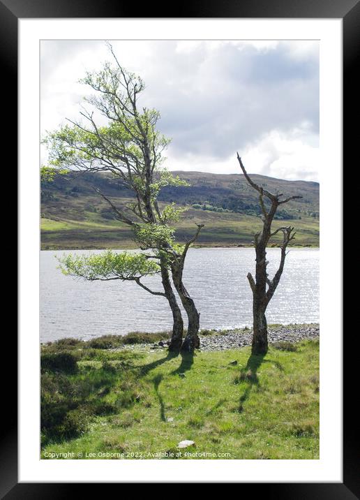 On the Shores of Loch Achall Framed Mounted Print by Lee Osborne