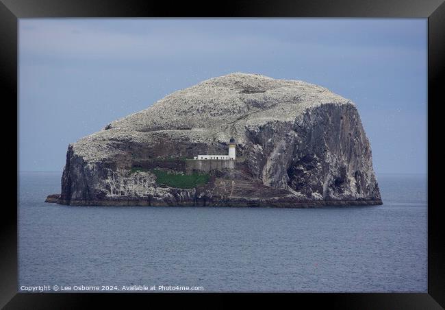 Bass Rock, Firth of Forth Framed Print by Lee Osborne