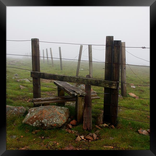 Hillside Stile Framed Print by Lee Osborne