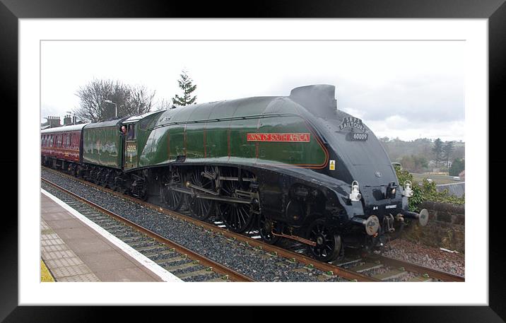 Gresley A4 Pacific Steam Locomotive Framed Mounted Print by Lee Osborne