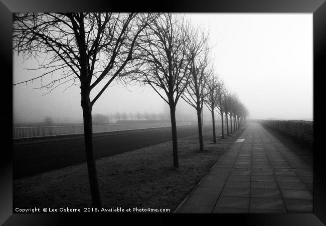 Trees, Edinburgh Park Framed Print by Lee Osborne