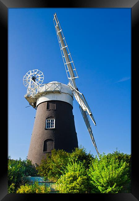 Restored Norfolk windmill. Framed Print by Lee Daly
