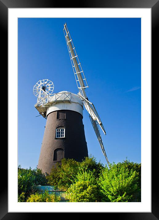 Restored Norfolk windmill. Framed Mounted Print by Lee Daly