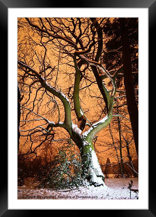 sugar coated tree. Framed Mounted Print by Lee Daly