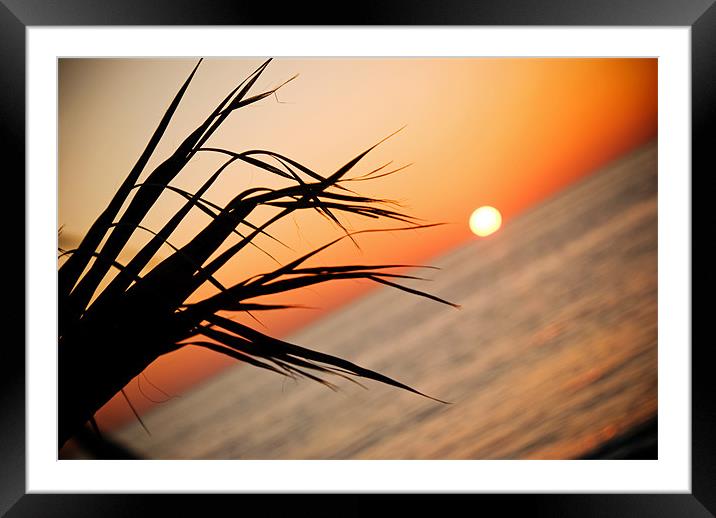 Cyprus Sunset Framed Mounted Print by Karen McGrath