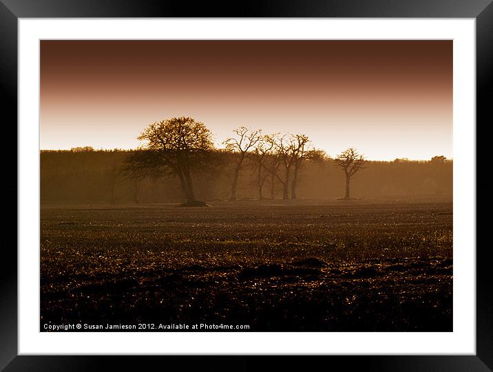 Sepia Sunset Framed Mounted Print by Susan Jamieson