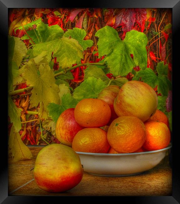 simply fruit Framed Print by sue davies