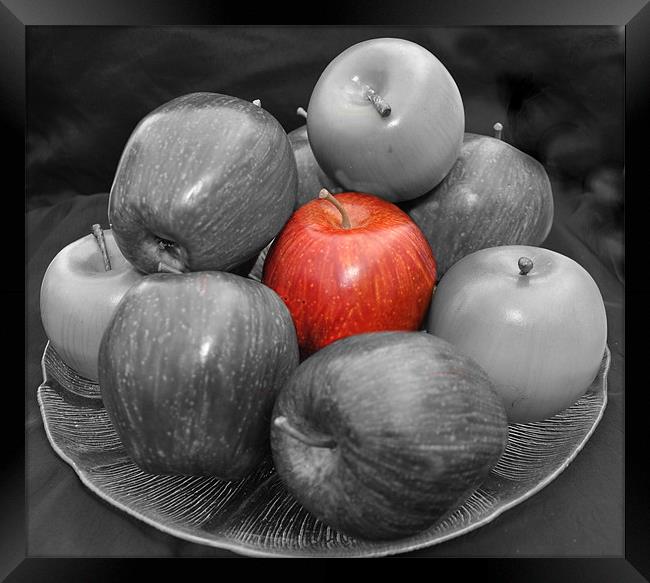 apples Framed Print by sue davies