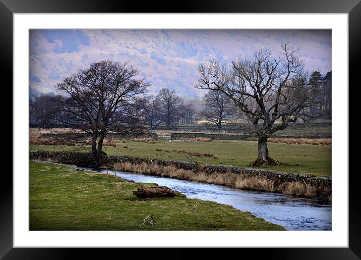 The stream Framed Mounted Print by sue davies