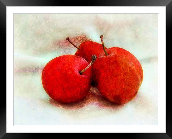 juicy plums Framed Mounted Print by sue davies