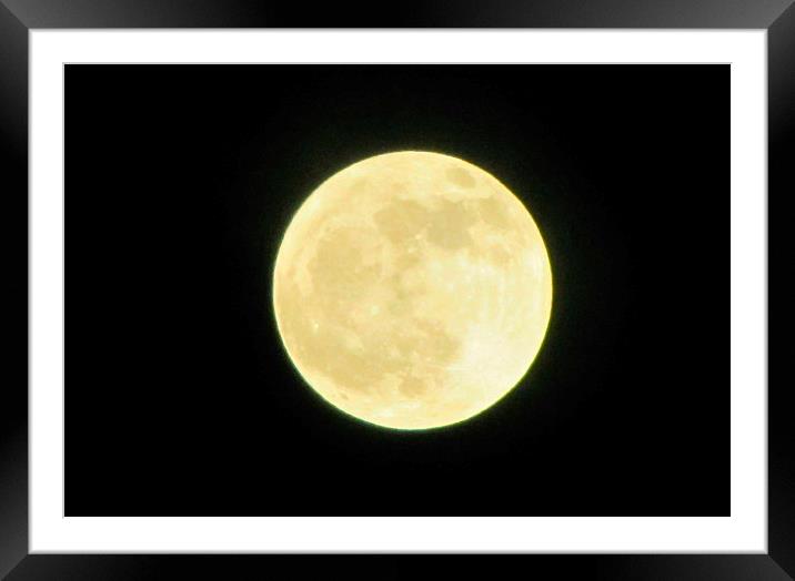 moon Framed Mounted Print by sue davies