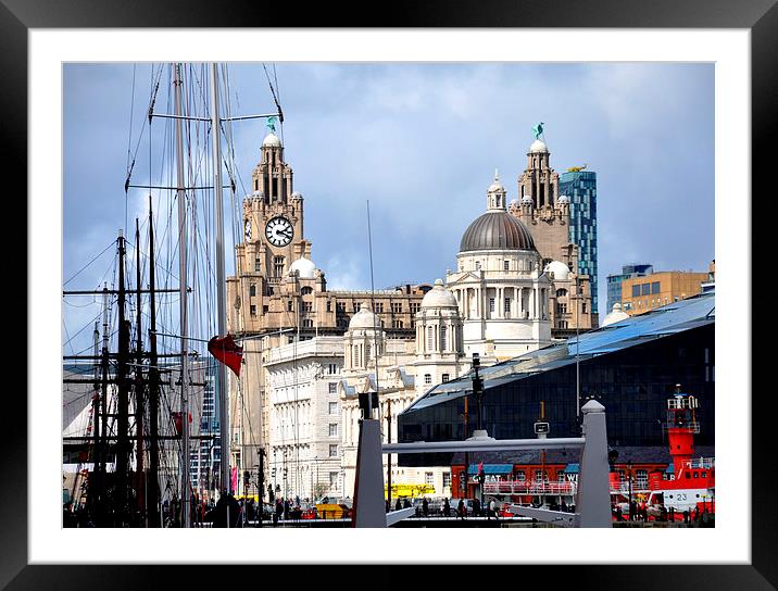 liver birds Framed Mounted Print by sue davies
