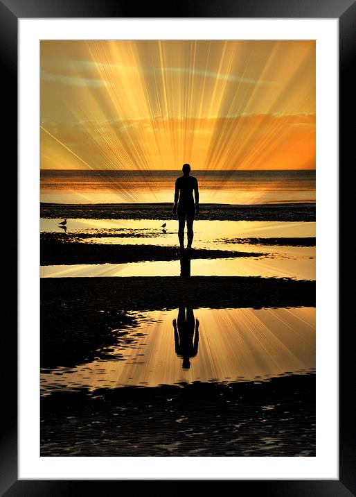 one iron man Framed Mounted Print by sue davies