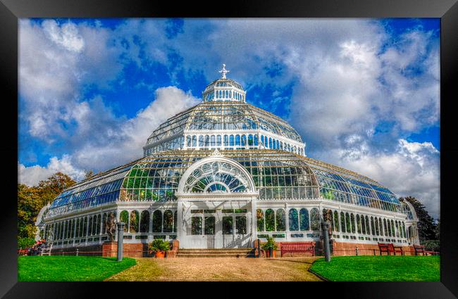  the palm house Framed Print by sue davies