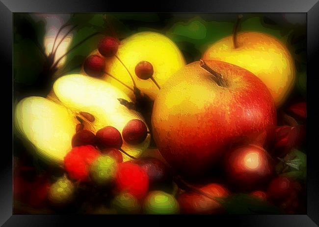  fruits Framed Print by sue davies