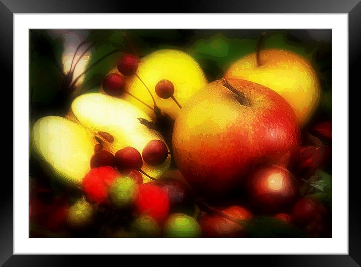  fruits Framed Mounted Print by sue davies
