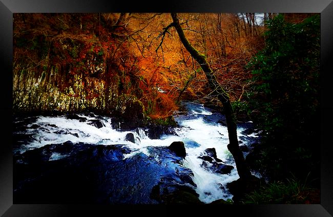  swallow falls Framed Print by sue davies