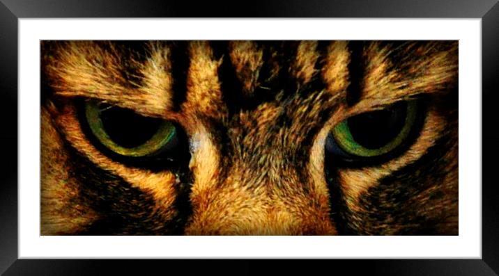  its in the eyes Framed Mounted Print by sue davies