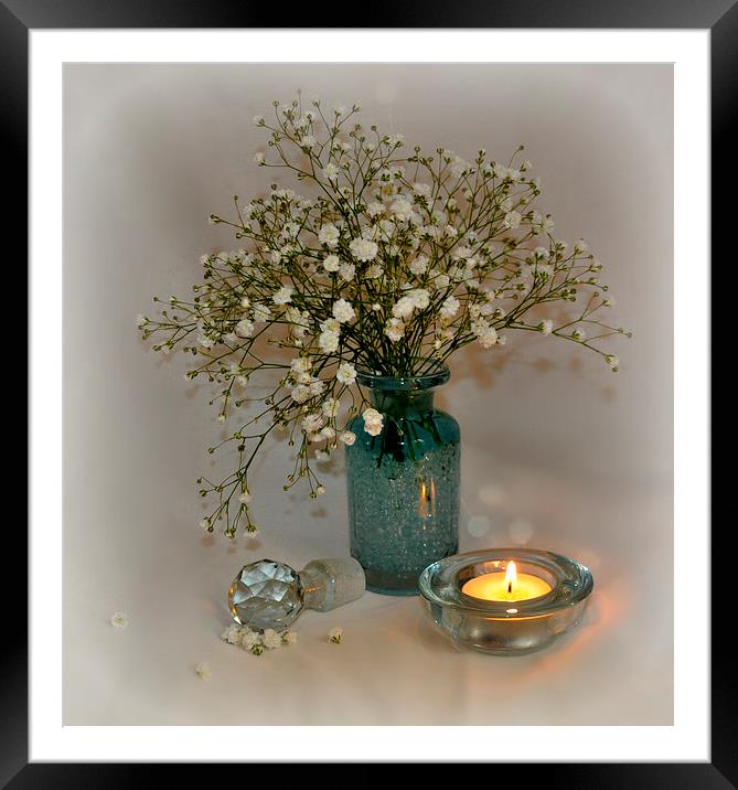  babys breath Framed Mounted Print by sue davies