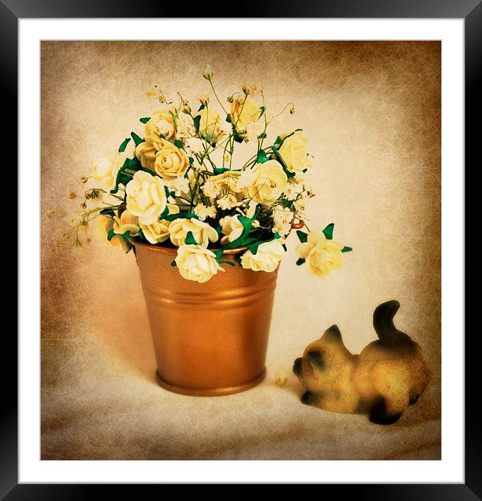  flower bucket Framed Mounted Print by sue davies