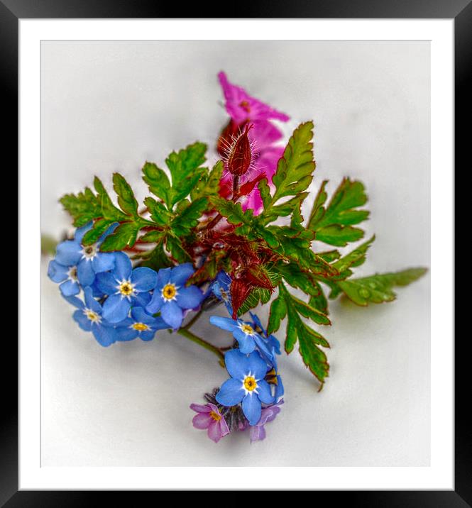  tiny bouquet Framed Mounted Print by sue davies