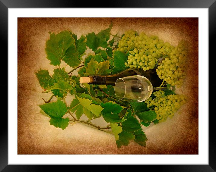  wine Framed Mounted Print by sue davies