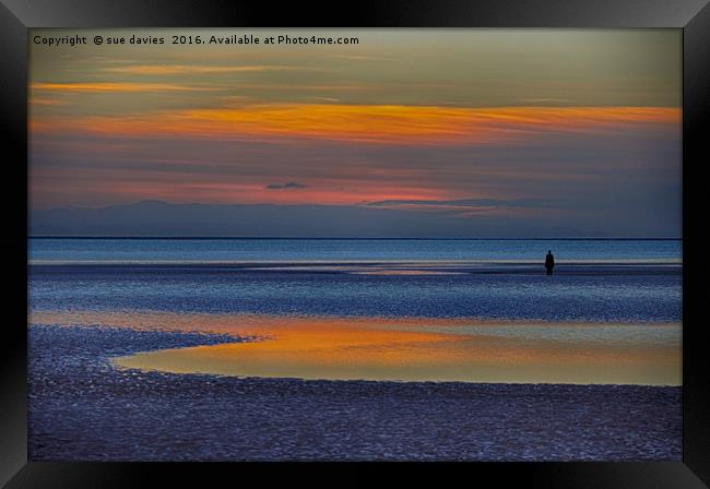 reflections Framed Print by sue davies