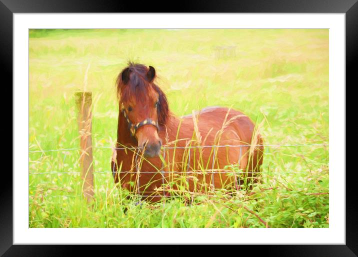 beautiful beast Framed Mounted Print by sue davies