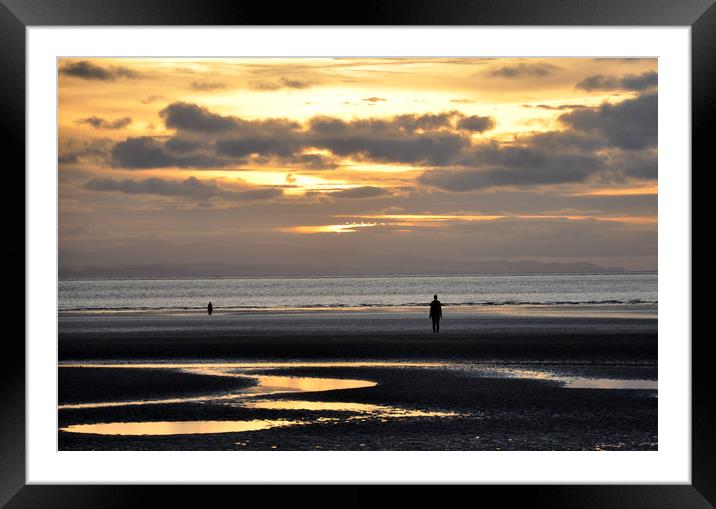 golden sky Framed Mounted Print by sue davies