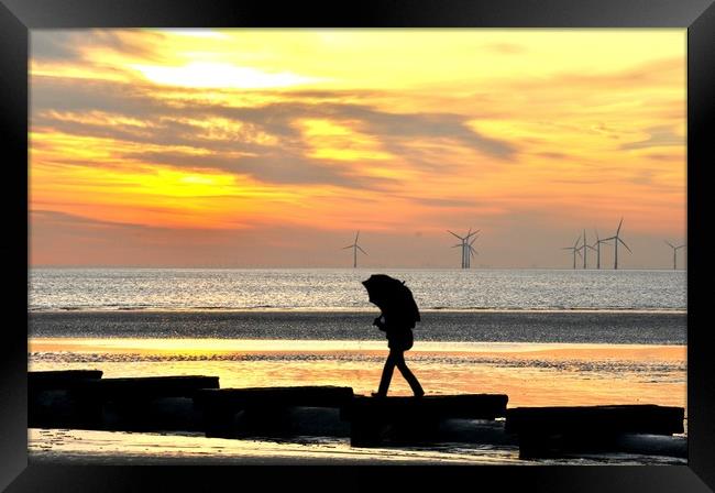 out to sea Framed Print by sue davies