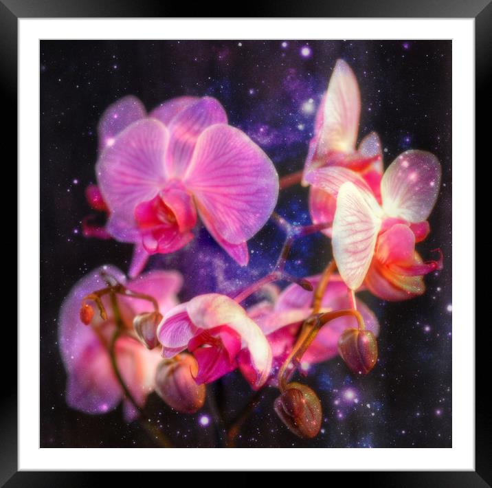 floating magic Framed Mounted Print by sue davies