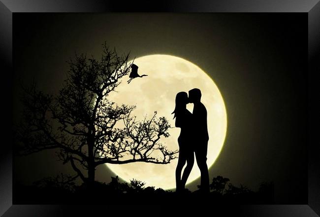 moonlight kiss Framed Print by sue davies