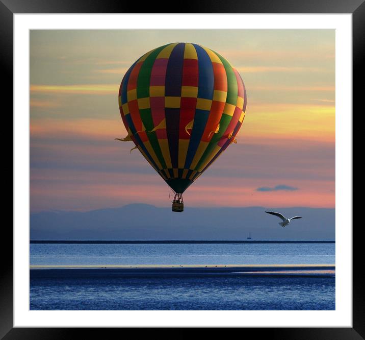 double flight Framed Mounted Print by sue davies