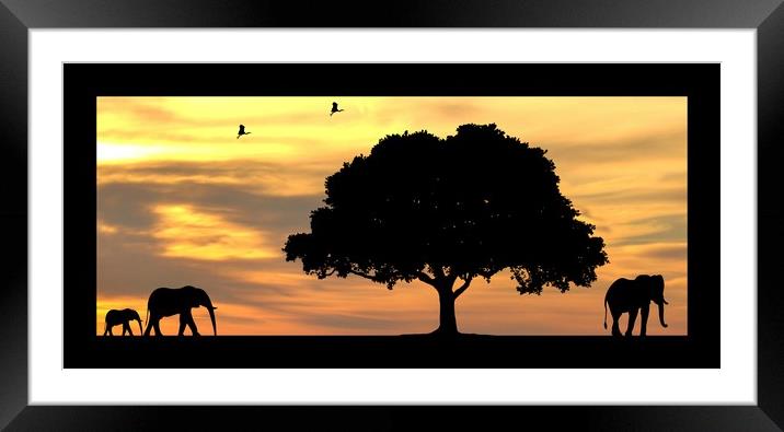 elephants at sunset Framed Mounted Print by sue davies