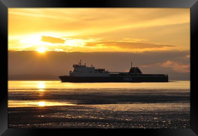 P&0 at sunset Framed Print by sue davies