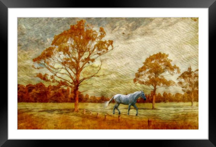 white horse Framed Mounted Print by sue davies