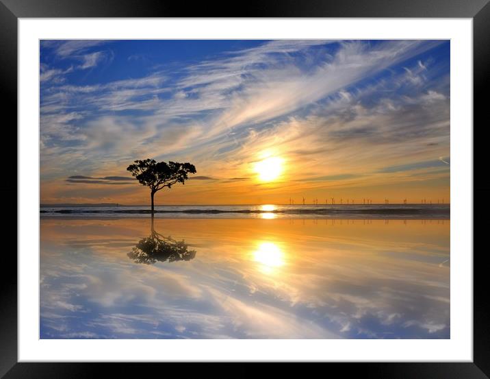 lone tree Framed Mounted Print by sue davies