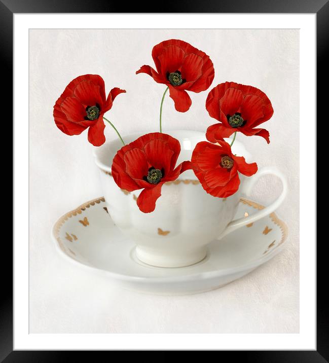 cup of poppy's Framed Mounted Print by sue davies