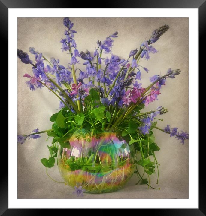 spring garden flowers Framed Mounted Print by sue davies