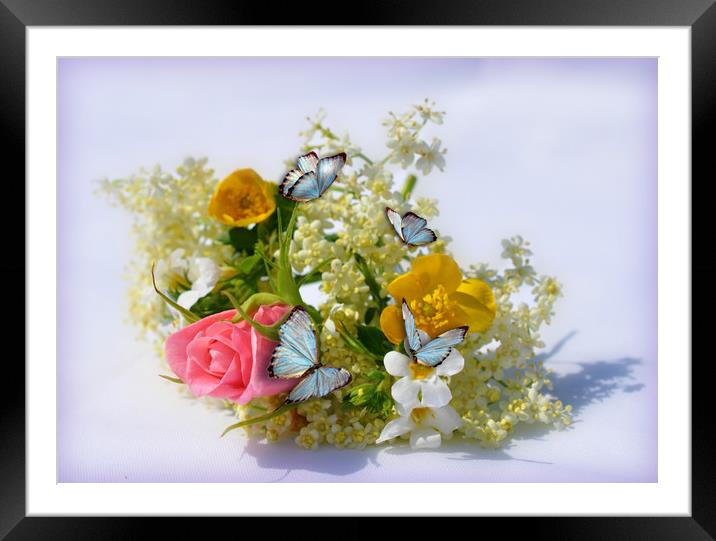 garden flowers Framed Mounted Print by sue davies