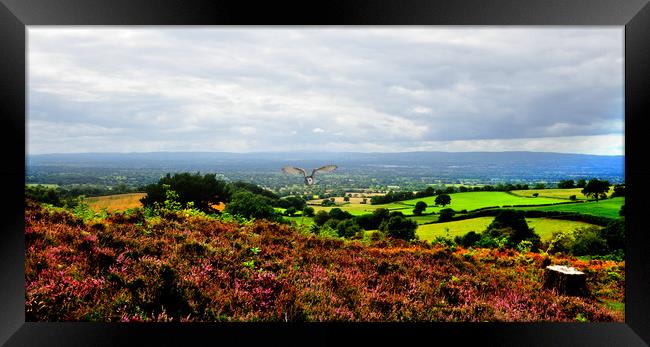 what a view Framed Print by sue davies