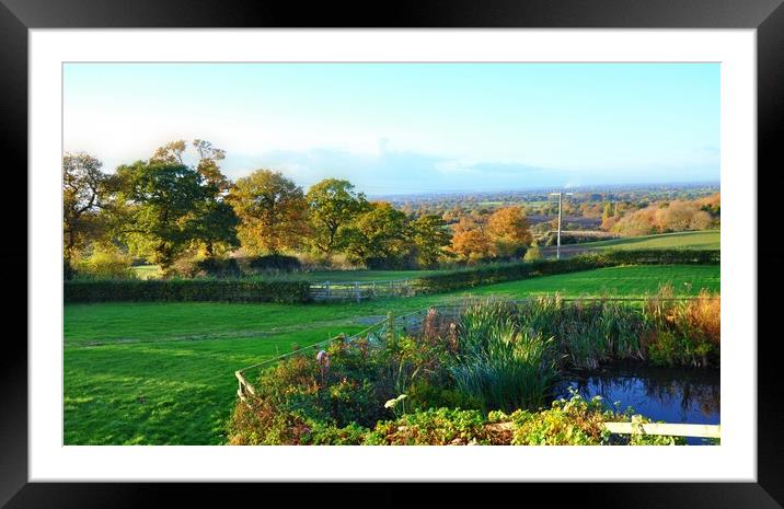 A view of a lush green field in Burwardsley Framed Mounted Print by sue davies